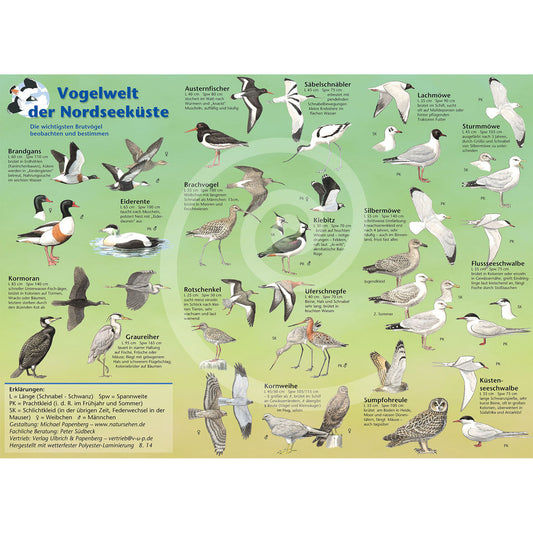 Bestimmungshilfe "Vogelwelt der Nordseeküste"